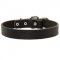 Leather Dogue de Bordeaux Collar for Walking and Training
