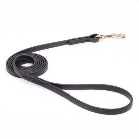 Black Biothane Dogue de Bordeaux Leash for Walking, Tracking