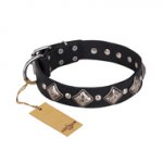 "Silver Charm" FDT Artisan Leather Dogue de Bordeaux Collar with Silvery-Plated Large Square Studs
