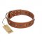 "Silver Age" Fashionable FDT Artisan Tan Leather Dogue de Bordeaux Collar with Silver-Like Studs