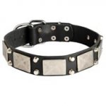 Leather Dogue de Bordeaux Collar Decorated with Nickel Cones and Plates