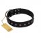 "Flower Rhapsody" FDT Artisan Premium Quaulity Black Leather Dogue de Bordeaux Collar