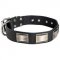 Leather Dogue de Bordeaux Collar with Massive Nickel Plates