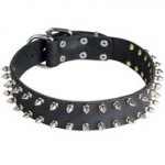 Leather Dogue de Bordeaux Collar with 2 Rows of Nickel Spikes