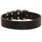 Wide Leather Dogue de Bordeaux Collar for Training and Walking