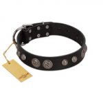 "Tricky Ricky" FDT Artisan Black Leather Dogue de Bordeaux Collar Adorned with Silver-Like Conchos
