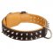 Spiked Dogue de Bordeaux Collar Padded with Nappa Leather