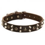 Leather Dogue de Bordeaux Collar with Studs and Pyramids