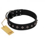 "Immense Power" Handcrafted FDT Artisan Black Leather Dogue de Bordeaux Collar with Small Dotted Pyramids