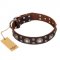 "Age of Beauty" FDT Artisan Incredible Studded Brown Leather Dogue de Bordeaux Collar
