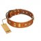 "Egyptian Script" FDT Artisan Tan Leather Dogue de Bordeaux Collar with Plates and Small Studs