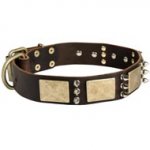 Designer War-Style Leather Dogue de Bordeaux Collar with Spikes and Plates