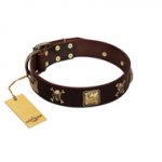 "Crazy Pirate" FDT Artisan Brown Leather Dogue de Bordeaux Collar with Old Bronze-Plated Skulls and Plates