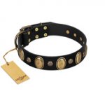 "Gilded Stones" FDT Artisan Black Leather Dogue de Bordeaux Collar with Old Bronze-like Ovals and Studs - 1 1/2 inch (40 mm) wide
