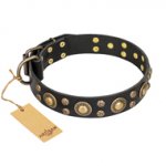 "Baroque Chic" FDT Artisan Studded Black Leather Dogue de Bordeaux Collar