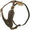 Royal Design Leather Dogue de Bordeaux Harness with Brass Studs