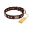 "Pirate Skull" FDT Artisan Brown Leather Dogue de Bordeaux Collar with Old Silver Look Plates and Skulls