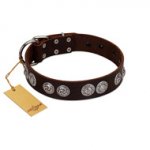 "High and Mighty" FDT Artisan Classy Brown Leather Dogue de Bordeaux Collar with Embellished Brooches