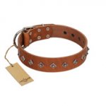 "Broadway" Handmade FDT Artisan Tan Leather Dogue de Bordeaux Collar with Dotted Pyramids