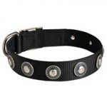 Dogue de Bordeaux Nylon Dog Collar with Circles Decoration