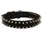 Dogue de Bordeaux Nylon Collar Spiked