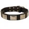 Leather Dogue de Bordeaux Collar with Large Nickel Plates