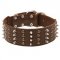 Extra Wide Leather Spiked and Studded Dogue de Bordeaux Collar