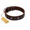 "Pure Sensation" Exclusive FDT Artisan Brown Leather Dogue de Bordeaux Collar with Fancy Brooches and Studs