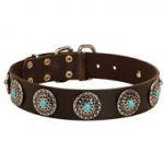 Leather Dogue de Bordeaux Collar with Blue Stones for Stylish Walking