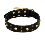 "Heavy Metal" Leather Dogue de Bordeaux Collar with Skulls and Studs 1 1/2 inch (40 mm)