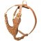 Brass Spiked Leather Dogue de Bordeaux Harness for Fashion Walking