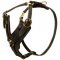 Padded Leather Dogue de Bordeaux Harness for Agitation Training