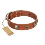 "Amorous Escapade" Embellished FDT Artisan Tan Leather Dogue de Bordeaux Collar with Chrome Plated Crossbones and Plates