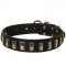 Leather Dogue de Bordeaux Collar with Shiny Plates