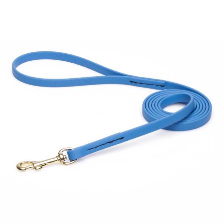 Amazing Blue Biothane Dogue de Bordeaux Leash for Walking, Tracking
