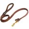 Dogue de Bordeaux Leather Braided Dog Leash