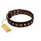 "Street Fashion" FDT Artisan Brown Leather Dogue de Bordeaux Collar Adorned with Circles and Skulls