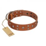 "Enchanted Skulls" FDT Artisan Tan Leather Dogue de Bordeaux Collar with Chrome Plated Skulls