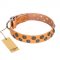 "Precious Sparkle" FDT Artisan Handcrafted Tan Leather Dogue de Bordeaux Collar