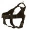 Dogue de Bordeaux Harness Nylon with Patches