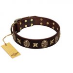 "Captain Hook" FDT Artisan Brown Leather Dogue de Bordeaux Collar with Stars and Skulls