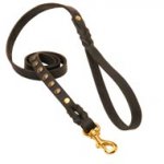 Studded Leather Dogue de Bordeaux Leash for Dog Walking and Training
