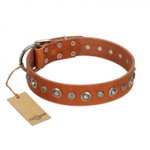 "Gorgeous Roundie" FDT Artisan Tan Leather Dogue de Bordeaux Collar with Chrome-plated Circles