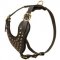 Adjustable Studded Leather Dogue de Bordeaux Harness for Fashion Walking