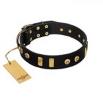 "Rare Dog" FDT Artisan Black Leather Dogue de Bordeaux Collar with Old Bronze-like Dotted Studs and Tiles