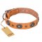 "Twinkle Twinkle" FDT Artisan Incredible Studded Tan Leather Dogue de Bordeaux Collar