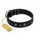 "Mr. Elegance" Designer FDT Artisan Black Leather Dogue de Bordeaux Collar with Silver-Like Studs