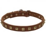 Handcrafted Leather Dogue de Bordeaux Collar with "Caterpillar" Studs
