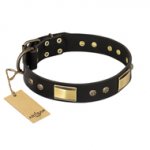 "Black Sun" FDT Artisan Leather Dogue de Bordeaux Collar with Brass Plated Decorations