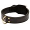 Training 2 Ply Leather Dogue de Bordeaux Collar
